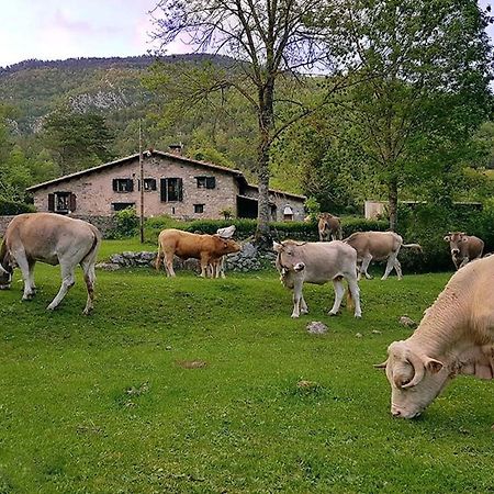 Hauzify I Apartament Bella Molina Alp Eksteriør bilde